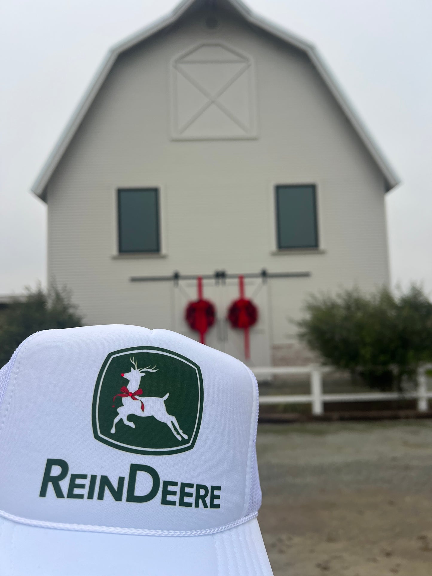 REINDEERE